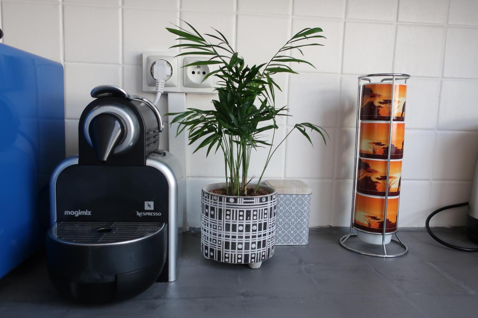 Appartement Avec Jardin Au Coeur De Рен Екстериор снимка